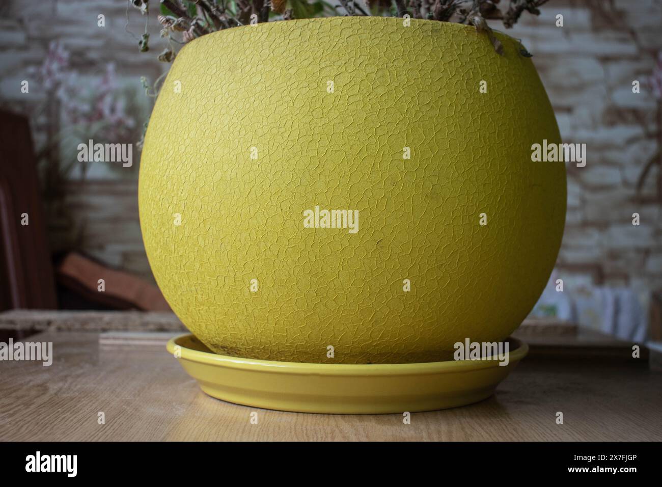 vaso di fiori dai colori vivaci a forma di palla, provviste da giardino, primo piano Foto Stock