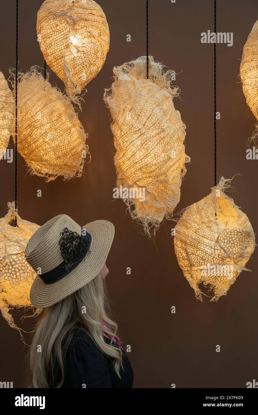 Royal Hospital, Chelsea, Londra, Regno Unito. 20 maggio 2024. Stampa e VIP Day al RHS Chelsea Flower Show 2024, aperto al pubblico dal 21 maggio al 25 maggio. Immagine: Lo stand Rootfull nel Great Pavilion crea tessuti a radice biodegradabili scultorei. Crediti: Malcolm Park/Alamy Live News Foto Stock