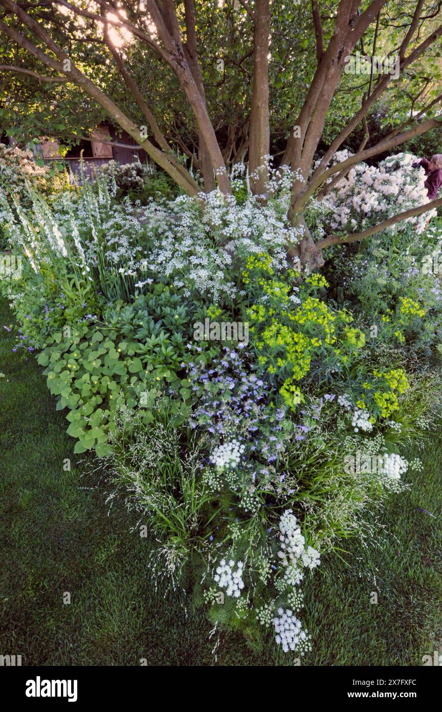 Londra, Regno Unito. 20 maggio 2024. Giorno di apertura al 2024 Royal Horticultural Society Chelsea Flower Show - uno dei Giardini dello spettacolo in mostra: Il Giardino Nazionale. Il giardino, con un tema 'bordo di bosco', presenta piante resistenti alla siccità e un ceduo di nocciole. Molte piante sono state donate dai proprietari di giardini del National Garden Scheme, a simboleggiare la generosità. Al centro si trova una capanna in legno con lavandino in carbonio per tè e torta, che celebra quasi 100 anni del National Garden Scheme. Racchiuso da una siepe autoctona, il giardino riflette il sostegno dell'ente benefico alla comunità e ai giardini terapeutici. CRE Foto Stock