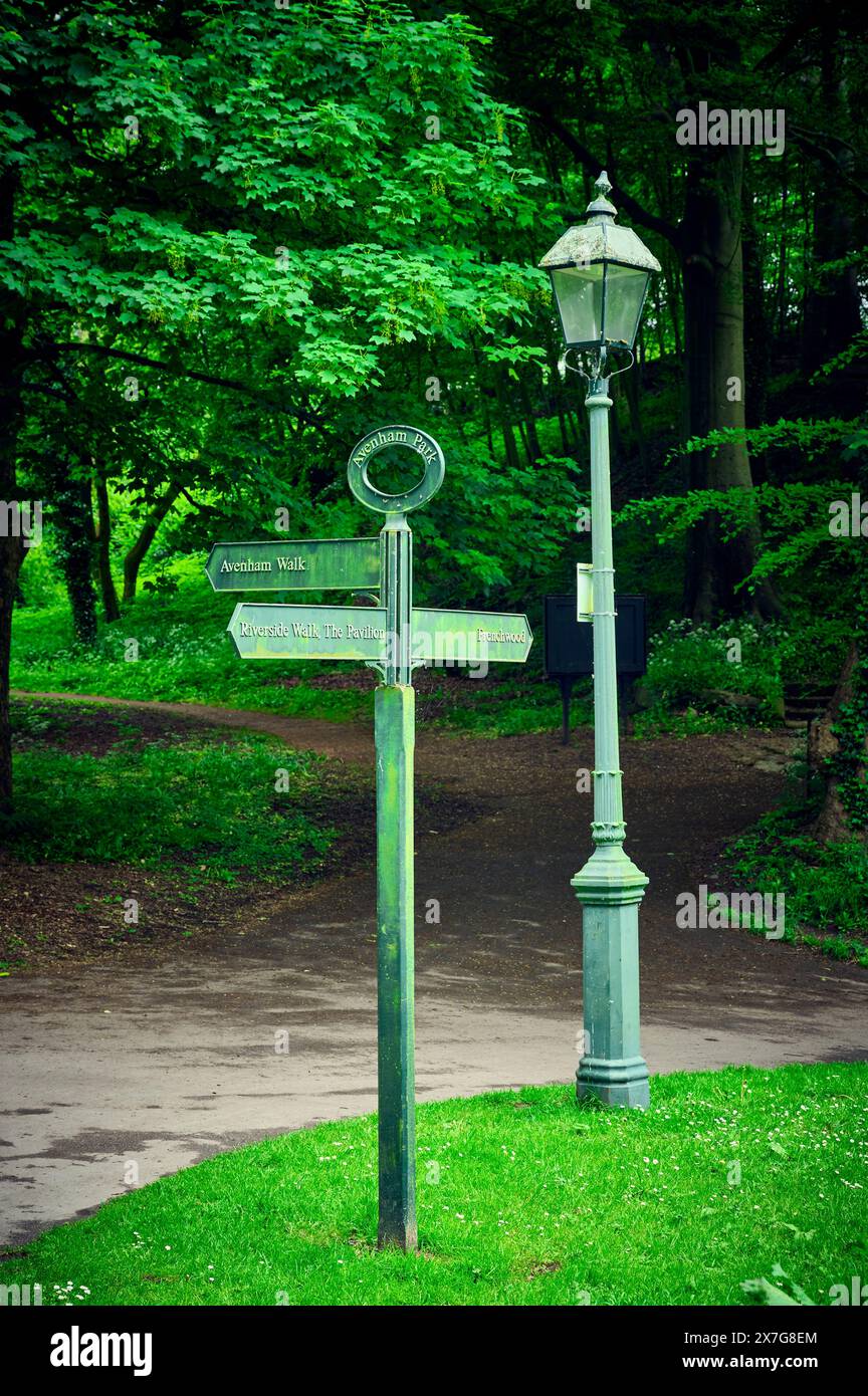 Cartello e lampione in stile vittoriano sotto gli alberi, Avenham Park, Preston, Regno Unito Foto Stock Cartello e lampione in stile vittoriano sotto gli alberi, Avenham Park, Preston, Regno Unito Foto Stock