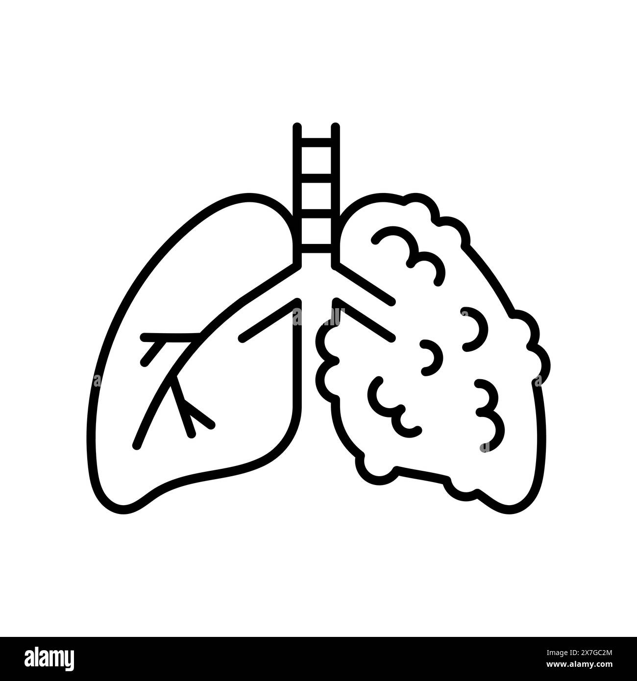 Icona della linea BPCO nera. Segno di malattia umana per pagina web, app mobile, pulsante, logo. Pulsante isolato vettore. Traccia modificabile. Illustrazione Vettoriale Icona della linea BPCO nera. Segno di malattia umana per pagina web, app mobile, pulsante, logo. Pulsante isolato vettore. Traccia modificabile. Illustrazione Vettoriale