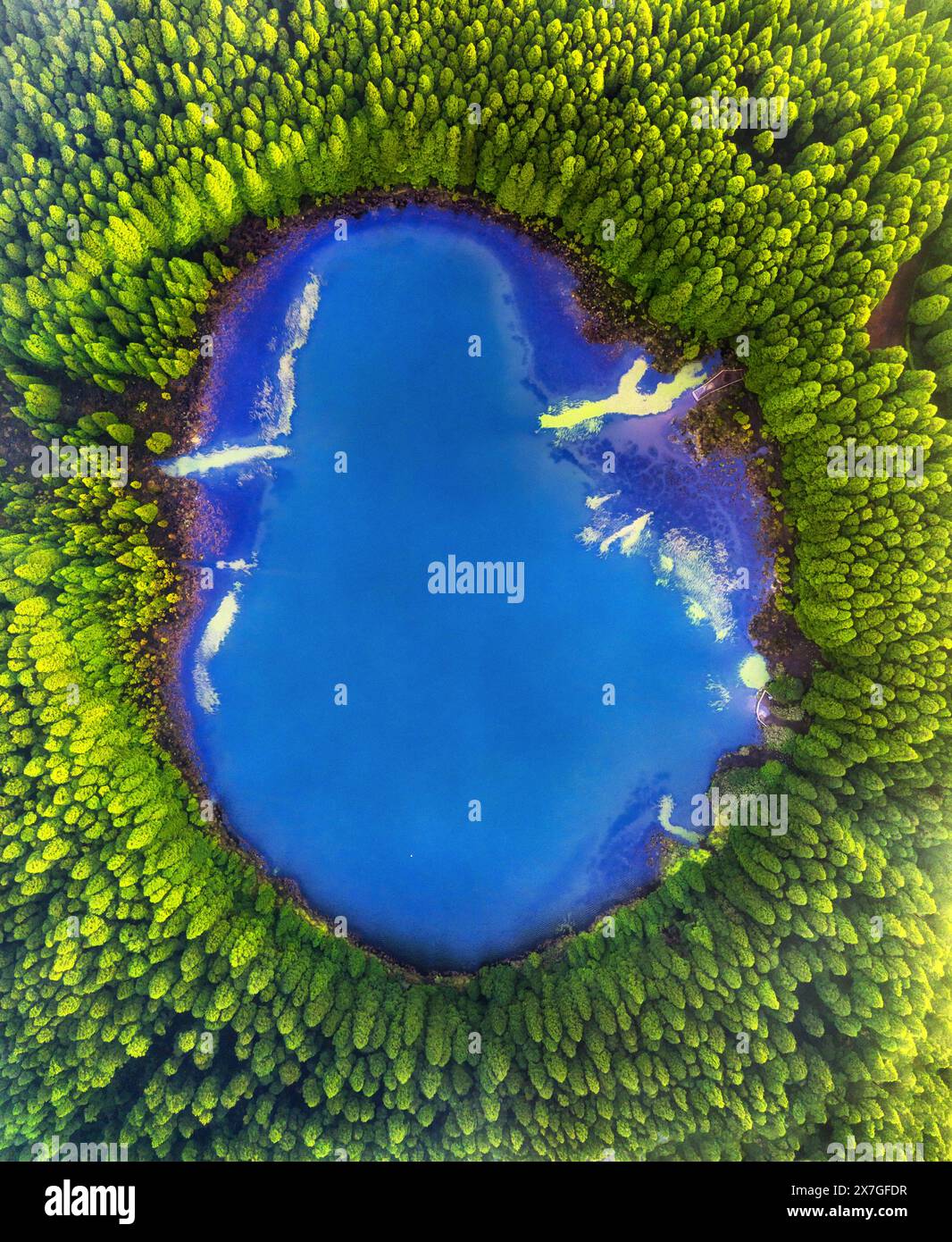Dall'alto verso il basso un meraviglioso lago di forma rotonda. Cielo nuvoloso riflesso nelle acque turchesi e cristalline dello stagno circondato da alberi e piante. Ondulazione sull'acqua Foto Stock