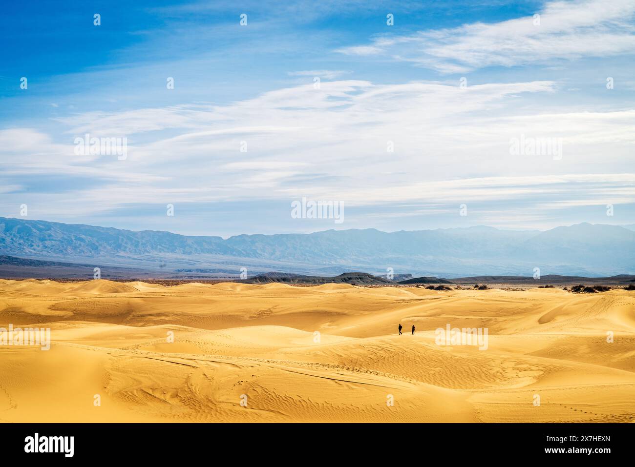 Vista panoramica delle dune di sabbia di Mesquite Flat e delle montagne dietro al Death Valley National Park in California Foto Stock