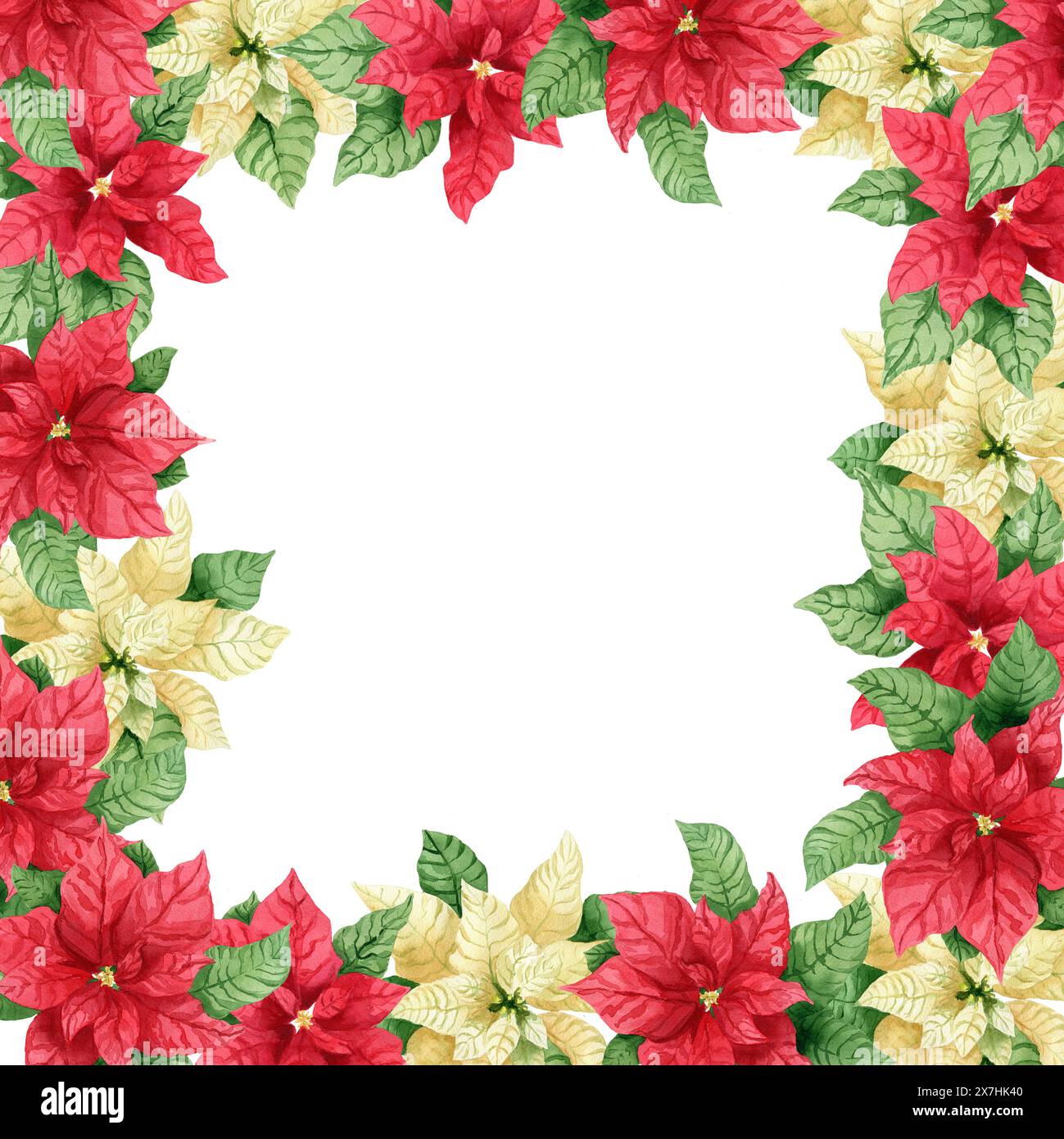 Cornice natalizia floreale con punta bianca e rossa disegnata a mano. Elemento natalizio acquerello. Clipart per il design, cornice per biglietti d'auguri Foto Stock