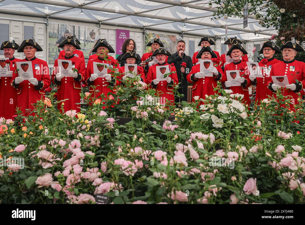 Londra, Regno Unito. 20 maggio 2024. Per celebrare il lancio della nuova pensionessa di Chelsea Rose, Alfie Boe è affiancato dal Chelsea Pensioners' Singing Group di Harkness Roses. Il RHS Chelsea Flower Show 2024 si apre con la sua giornata stampa, rivelando nuovi design di giardini, esposizioni floreali e prodotti orticoli dal 21 al 25 maggio. Crediti: Imageplotter/Alamy Live News Foto Stock