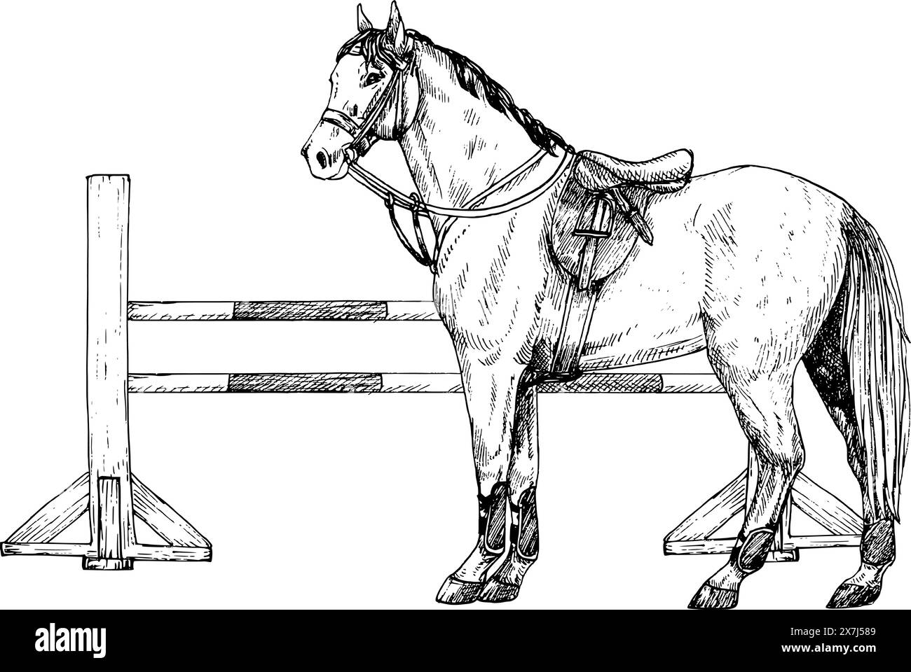 Illustrazione grafica vettoriale del cavallo e della barriera per il salto dello spettacolo e il salto del cavallo, pali bianchi e rossi. Attrezzatura per equitazione. Isolato. Per Illustrazione Vettoriale