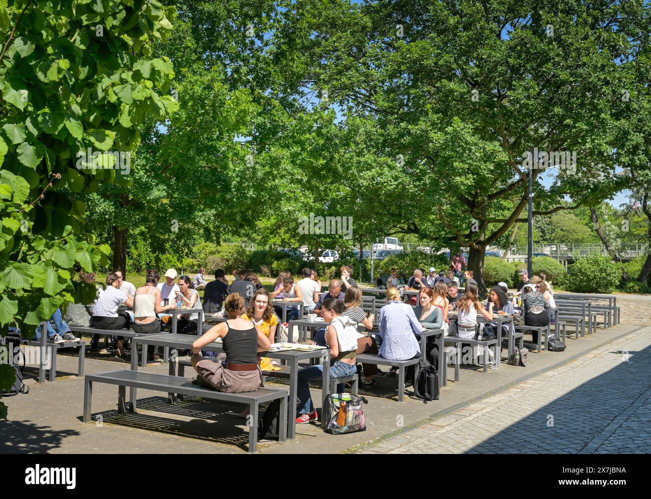 Mensa fu II, Silberlaube, Freie Universität, Habelschwerdter Allee, Dahlem, Steglitz-Zehlendorf, Berlino, Germania Foto Stock