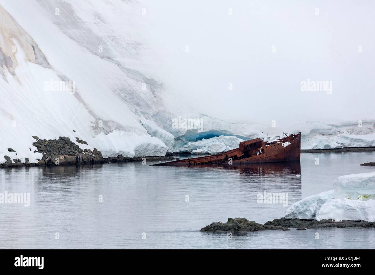 Relitto della nave baleniera Guvernoren, Wilhelmina Bay, Penisola Antartica, Antartide Foto Stock