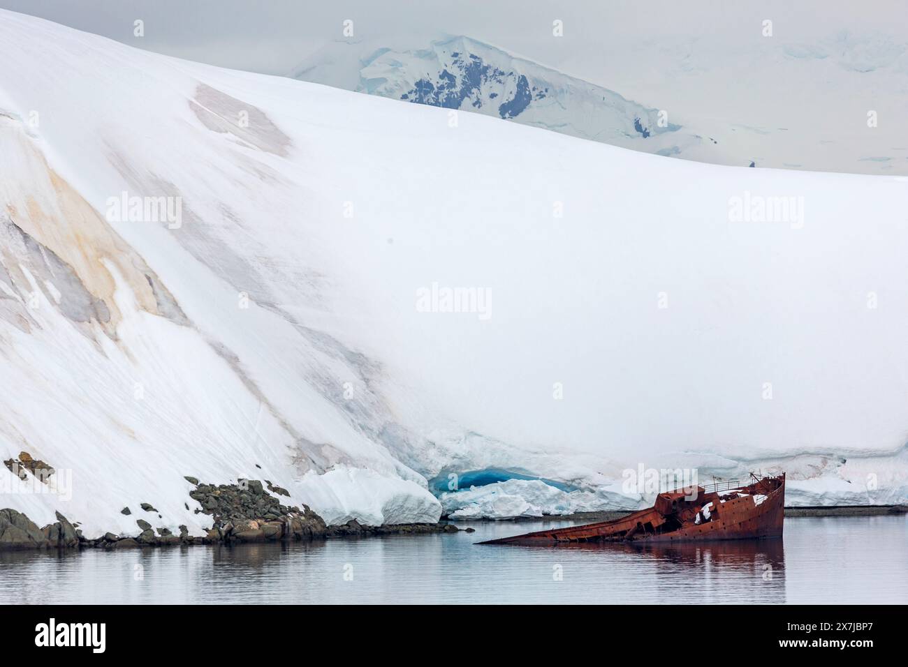 Relitto della nave baleniera Guvernoren, Wilhelmina Bay, Penisola Antartica, Antartide Foto Stock