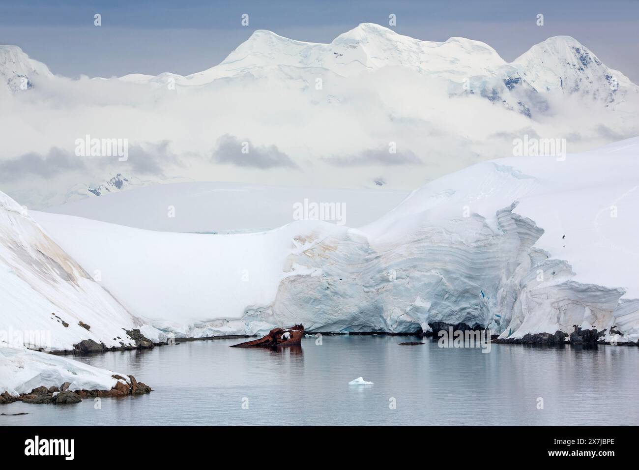 Relitto della nave baleniera Guvernoren, Wilhelmina Bay, Penisola Antartica, Antartide Foto Stock