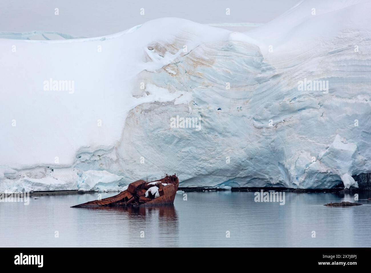 Relitto della nave baleniera Guvernoren, Wilhelmina Bay, Penisola Antartica, Antartide Foto Stock