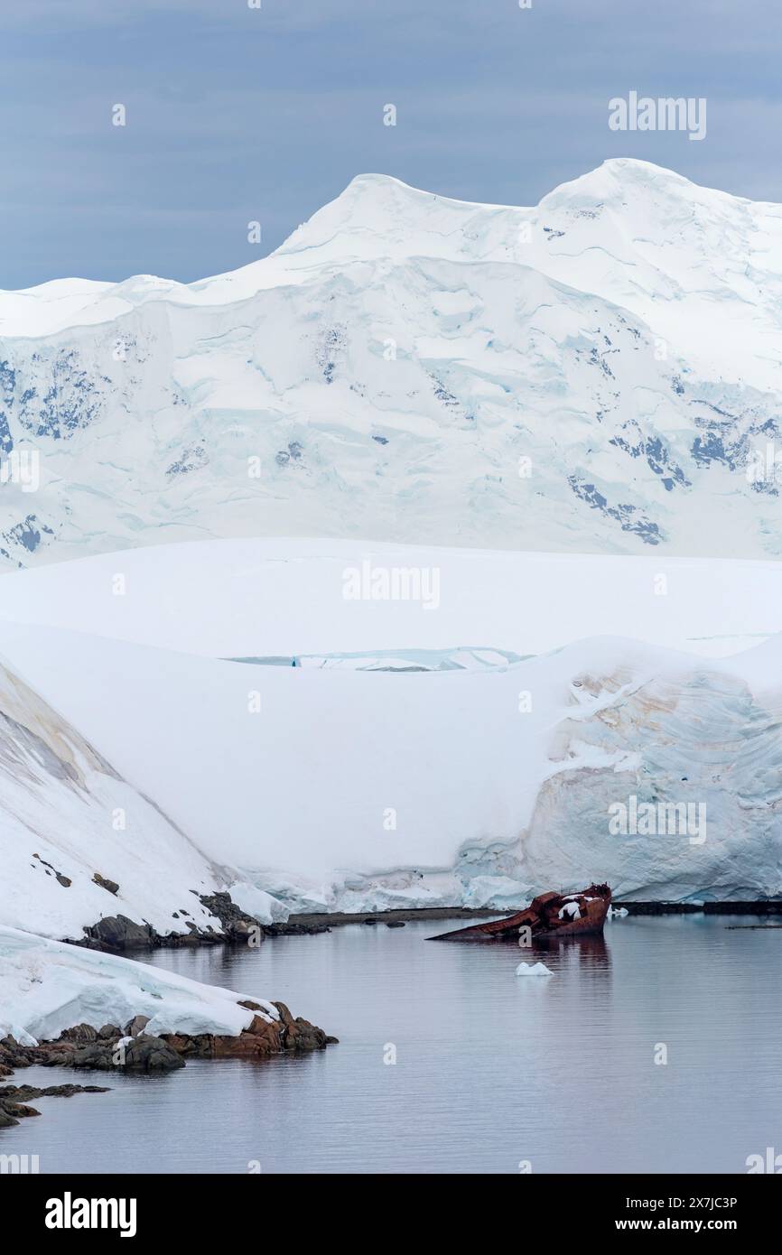 Relitto della nave baleniera Guvernoren, Wilhelmina Bay, Penisola Antartica, Antartide Foto Stock