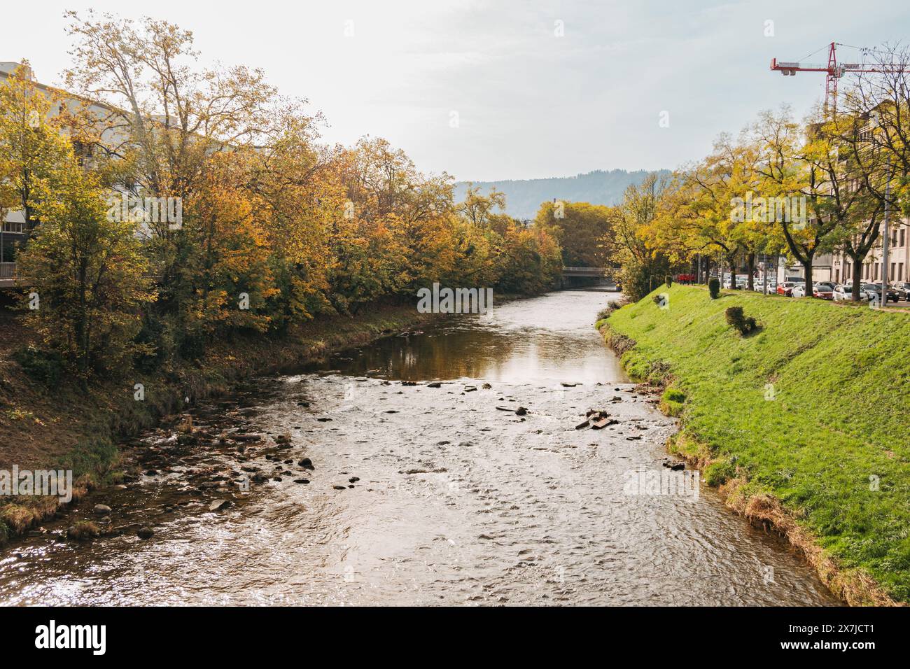 Un tranquillo fiume Sihl si snoda attraverso il paesaggio urbano autunnale di Zurigo, rispecchiando il fogliame colorato. Lo skyline della città sbircia tra gli alberi Foto Stock