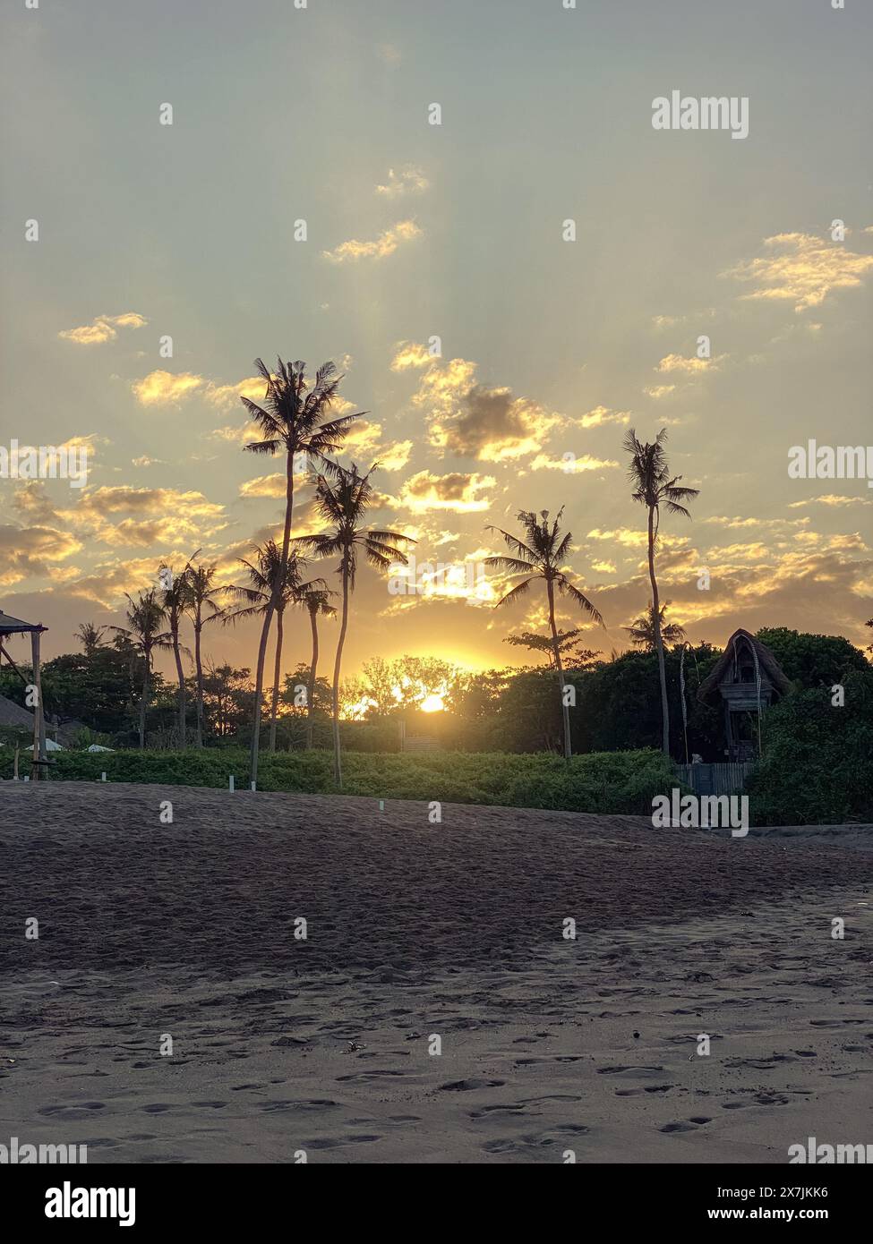 Splendida alba con palme sulla spiaggia di Bali Foto Stock