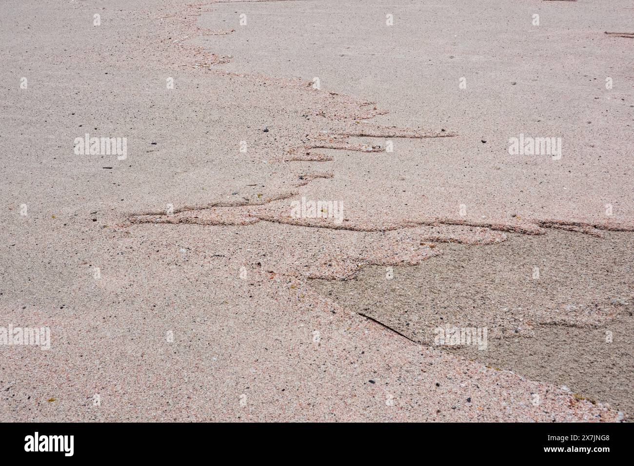 Sedimentazione della sabbia rosa caratteristica della spiaggia di Elefonisi a Creta, in Grecia, in realtà un misto di sabbia con frammenti di conchiglie e al Foto Stock