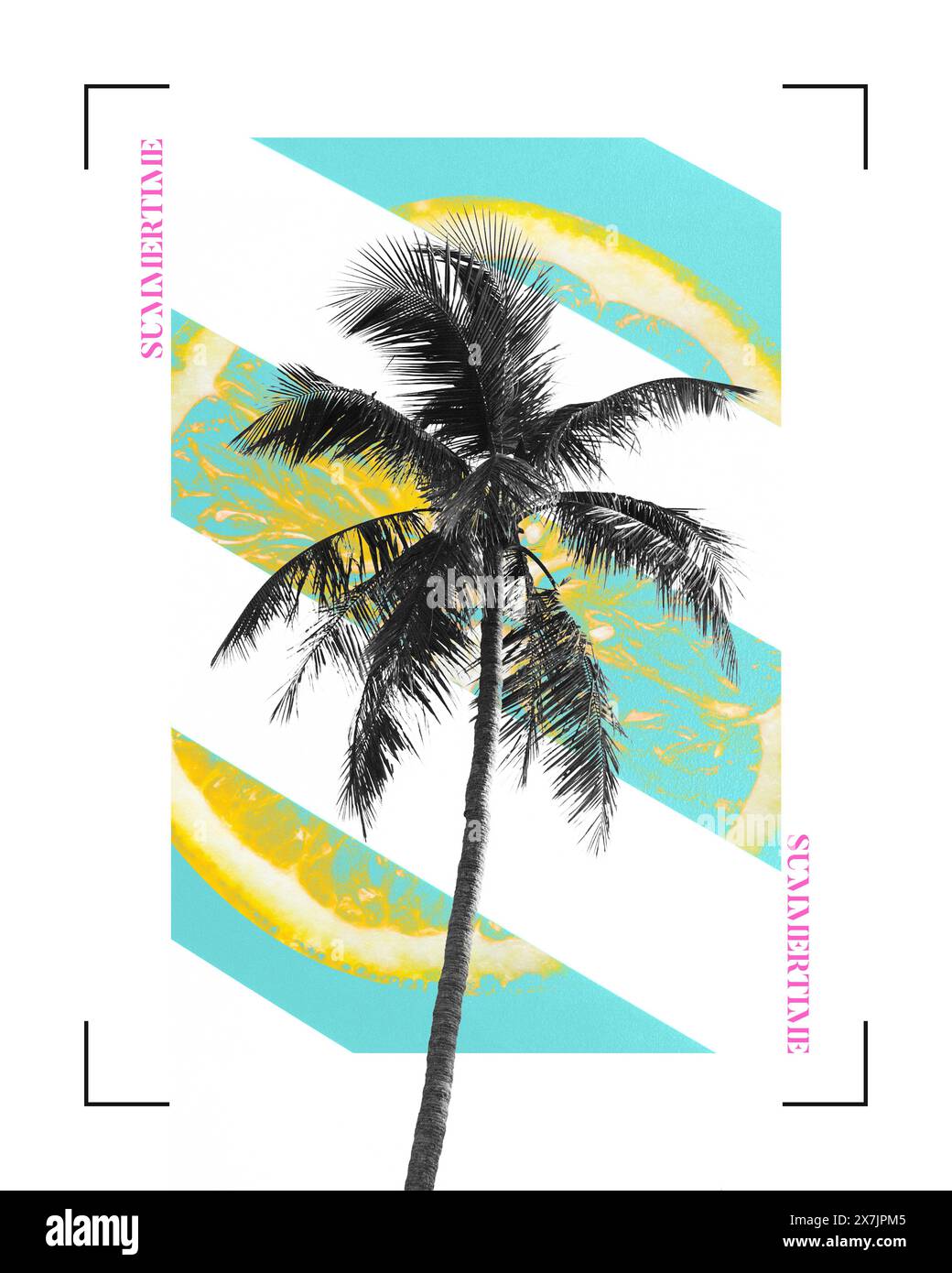 Arte collage contemporanea Palm Tree. Illustrazione delle vibrazioni estive, strisce verdi, arancio astratto come il sole. Un singolo albero su un poster digitale sulla spiaggia Foto Stock