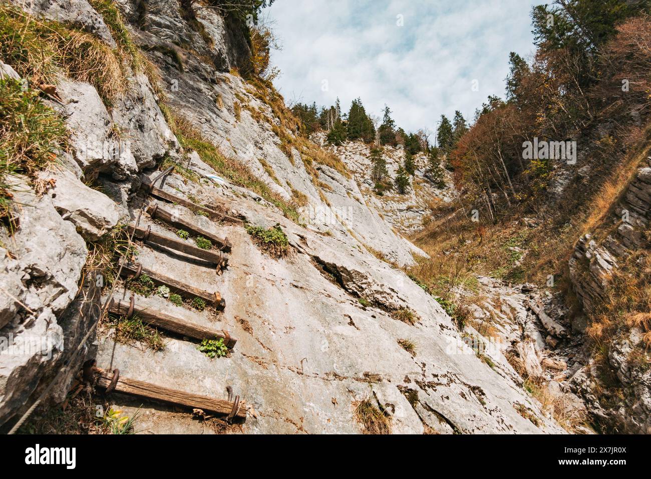Una scala di legno, fissata con pioli metallici, si snoda su una ripida parete rocciosa nelle Alpi svizzere Foto Stock