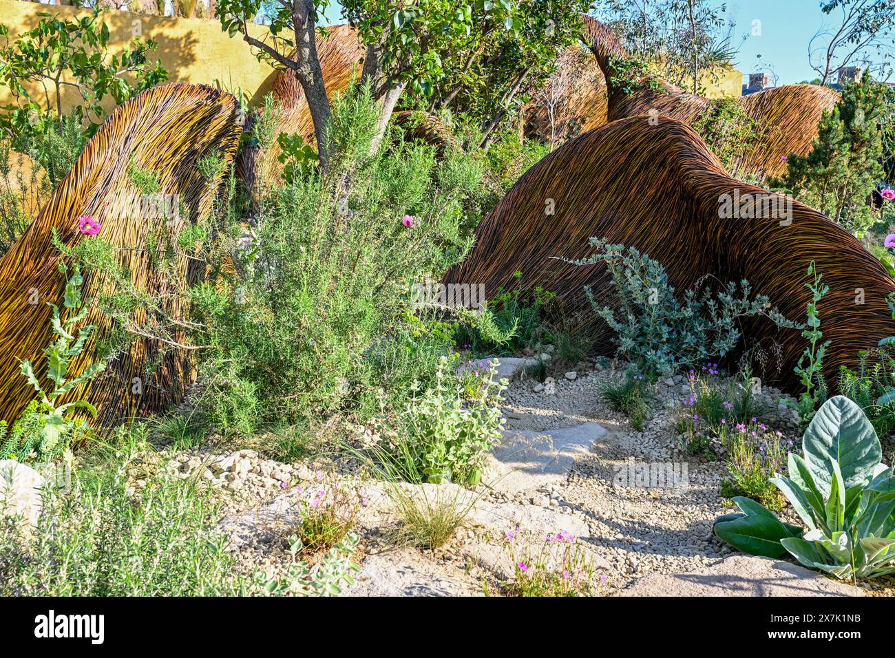 Londra, Regno Unito. 20 maggio 2024. The Freedom from torture Garden: A Sanctuary for Survivors Garden presso l'RHS Chelsea Flower Show, Royal Hospital Chelsea, Londra, Regno Unito. Crediti: LFP/Alamy Live News Foto Stock