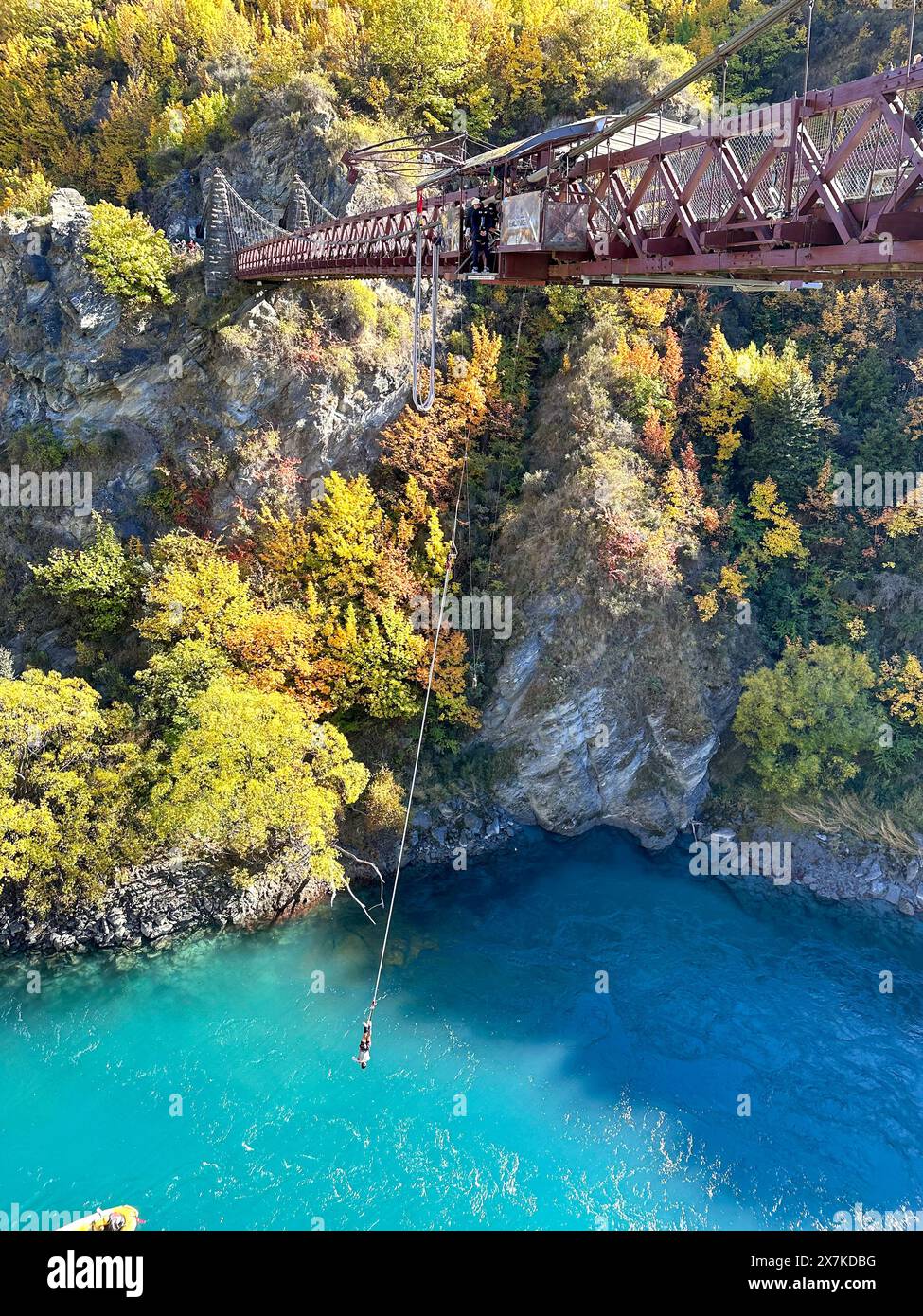 Bungy jumping dal ponte sospeso Kawarau Gorge in autunno, Gibbston Highway, Queenstown, Central Otago, Otago, nuova Zelanda Foto Stock