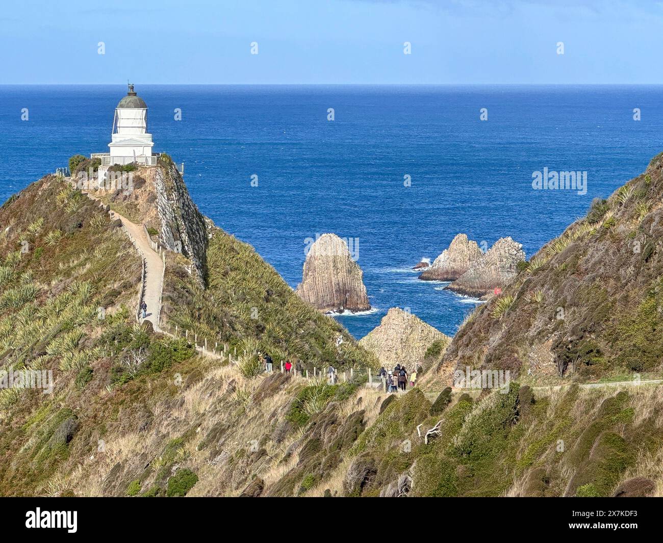 Nugget Point Lighthouse View Point, Nugget Point, Catlins Coast, Otago, nuova Zelanda Foto Stock