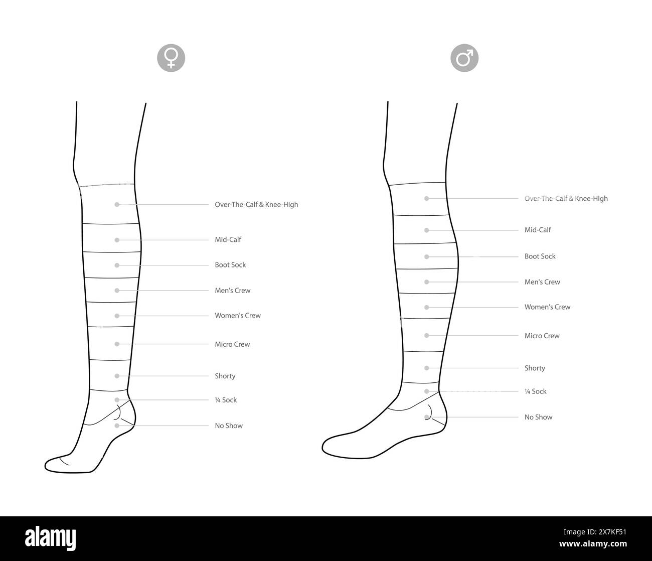 Diagrammi della lunghezza dei calzini con nomi di testo. Calze per accessori moda moda abbigliamento illustrazioni tecniche. Vista laterale vettoriale per uomo, donna, stile unisex, modello piatto contorno di mockup CAD isolato Illustrazione Vettoriale