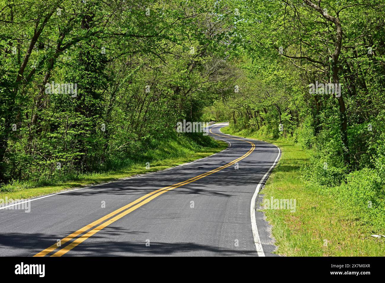 La leggendaria Route 66 si snoda attraverso le foreste del Kansas Foto Stock