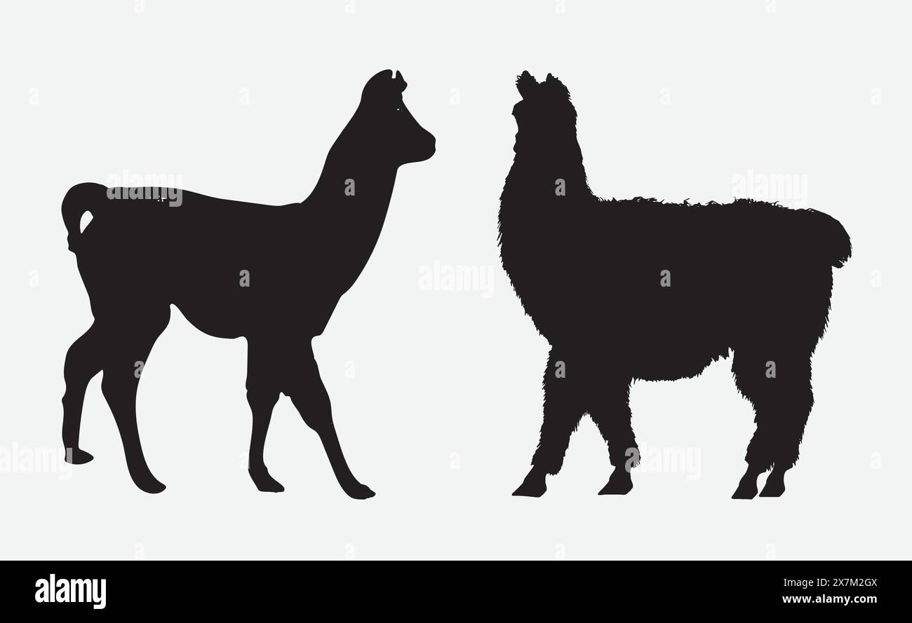 La maestosa silhouette Alpaca cattura la grazia e la bellezza in Shadow Illustrazione Vettoriale