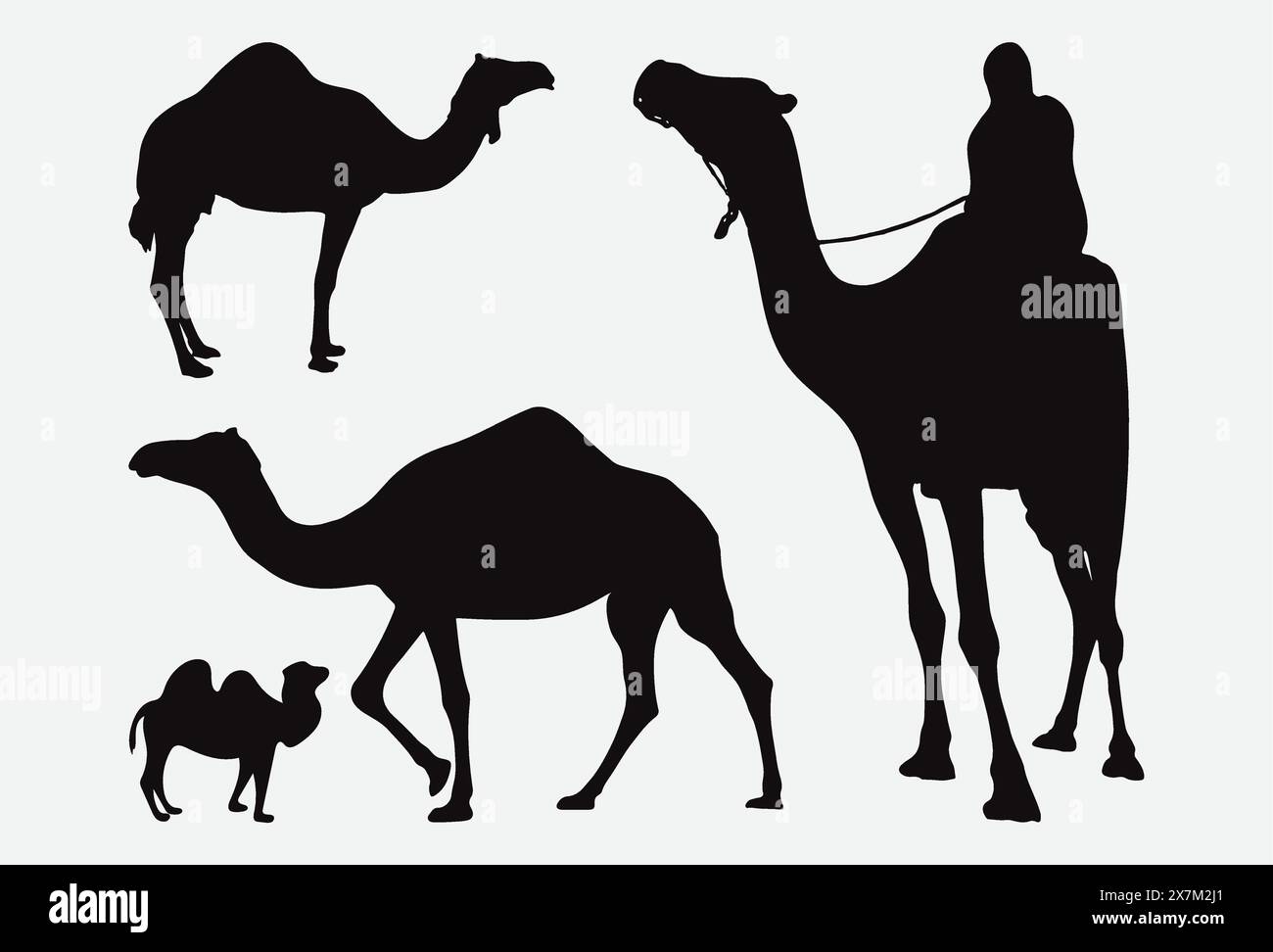 Maestosa silhouette cammello Vector Art Collection Illustrazione Vettoriale