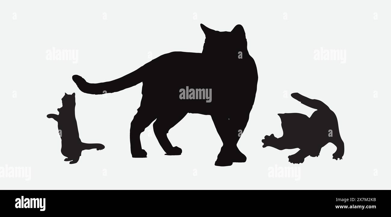 Silhouette completa di gatti collezione Vector di silhouette feline in varie pose e stili Illustrazione Vettoriale