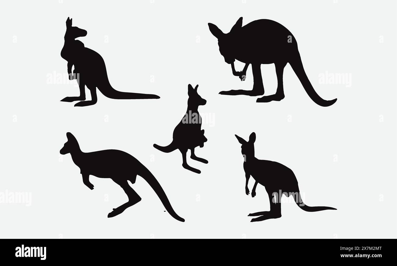 Canguri sagoma Vector in varie posizioni, perfetto per progetti di Wildlife Design Illustrazione Vettoriale