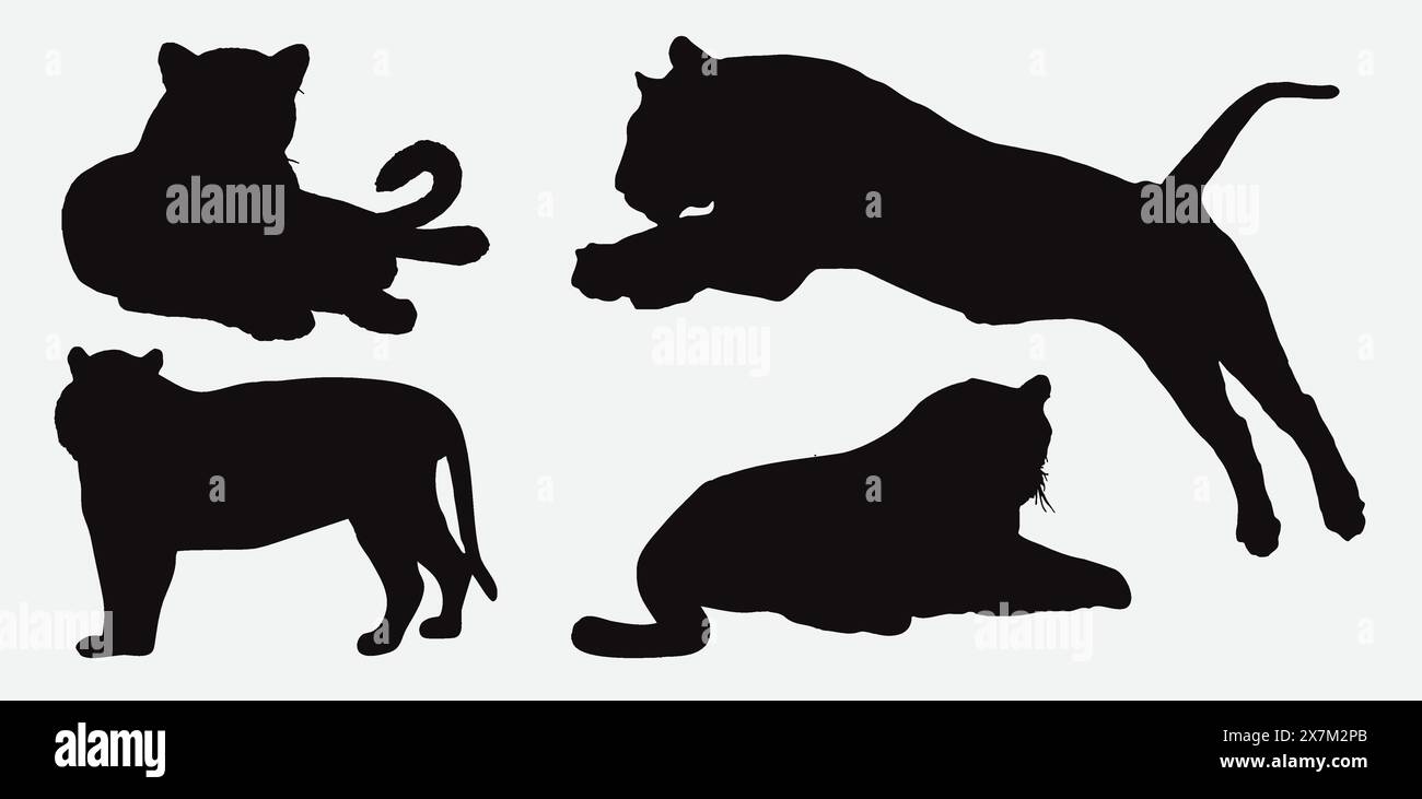 Collezione di set vettoriali Tiger silhouette per disegni e illustrazioni naturalistiche Illustrazione Vettoriale