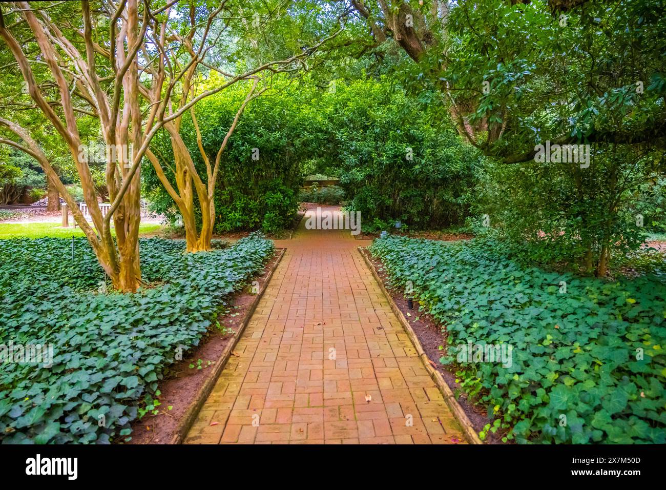 Aiken, South Carolina, Stati Uniti - 23 agosto 2022: I giardini Hopelands Foto Stock