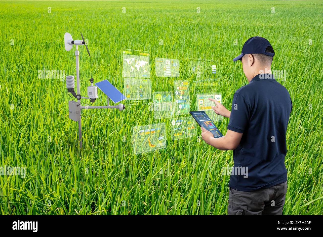 La tecnologia agricola con agricoltori o ingegneri lavora con la stazione meteorologica Foto Stock