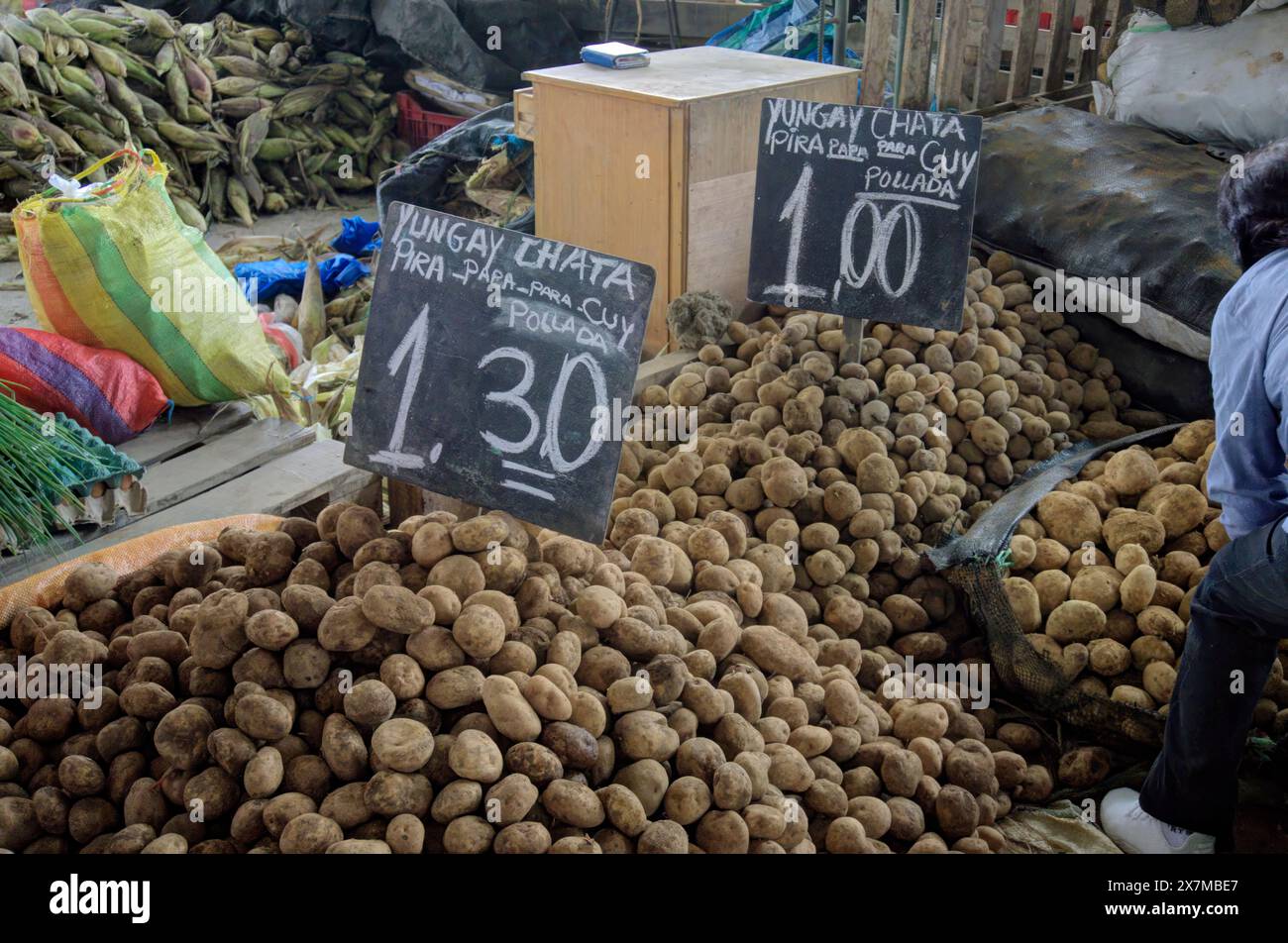 Chimbote, Perù - 18 aprile 2024: Vari tipi di patate in vendita nel mercato pubblico Mercado dos de Mayo (mercato del 2 maggio) Foto Stock