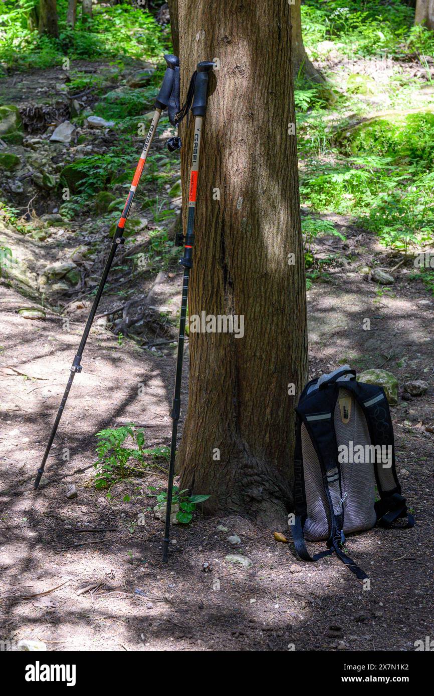 Concetto escursionistico: Bastoncini da nordic trekking e zaino appoggiati su un albero in una foresta Foto Stock