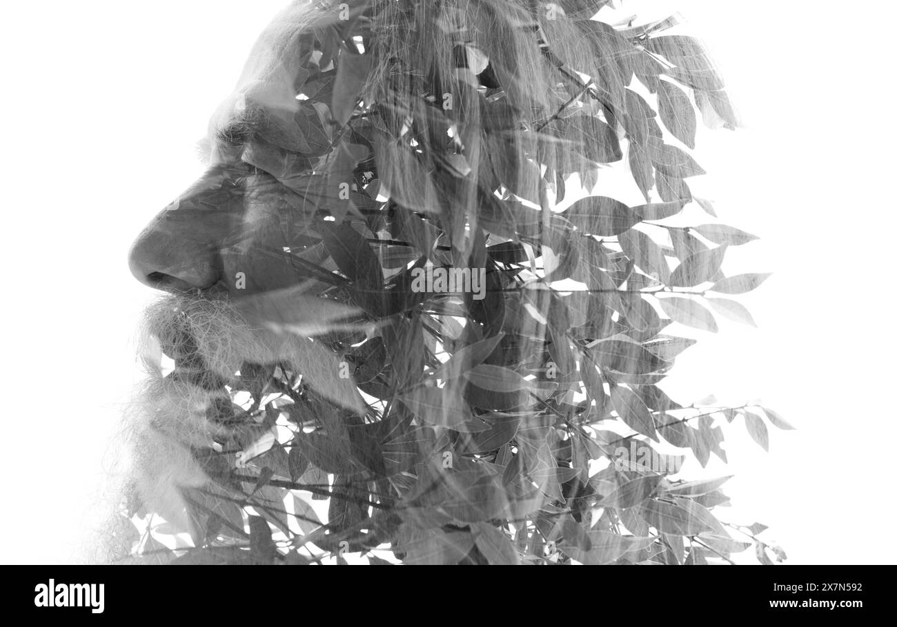 Un profilo a doppia esposizione di un vecchio che si fonde in una foto di foglie d'albero Foto Stock