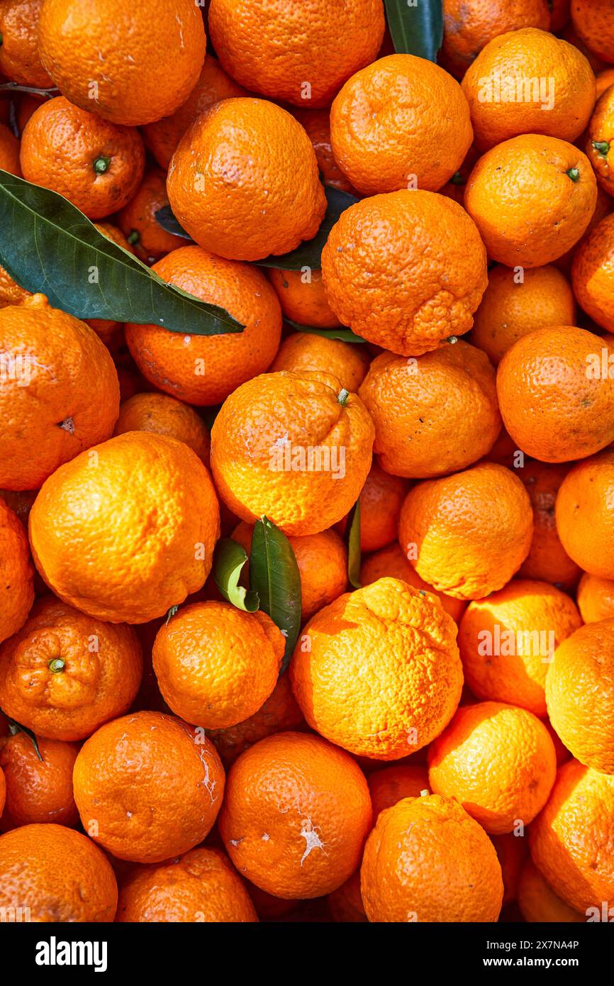 Primo piano di arance mandarine Foto Stock