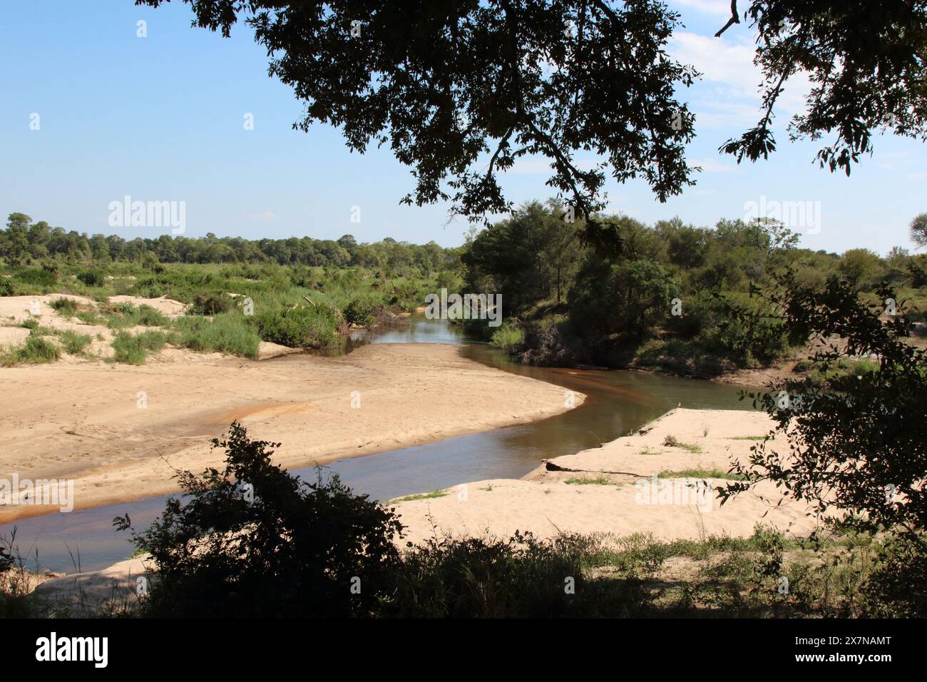 Afrikanischer Busch - Krügerpark - Sabie River / African Bush - Kruger Park - Sabie River / Foto Stock