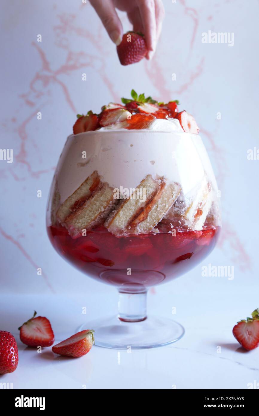 Torta di Lamington rosa e yogurt alla fragola e dessert a strati con gelatina. Foto Stock