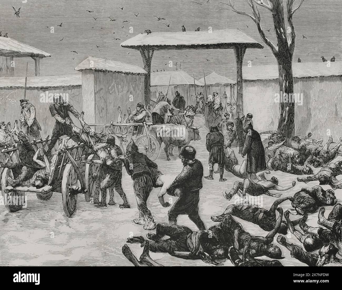 Guerra russo-turca (1877-1878). Assedio di Plevna (dal 20 luglio al 10 dicembre 1877). Combattimenti che ebbero luogo tra l'esercito congiunto di Russia e il Regno di Romania contro quello dell'Impero ottomano. Recuperare i morti dopo l'assedio. "La Guerra de Oriente" (la guerra russo-turca). Volume III. 1878. Foto Stock