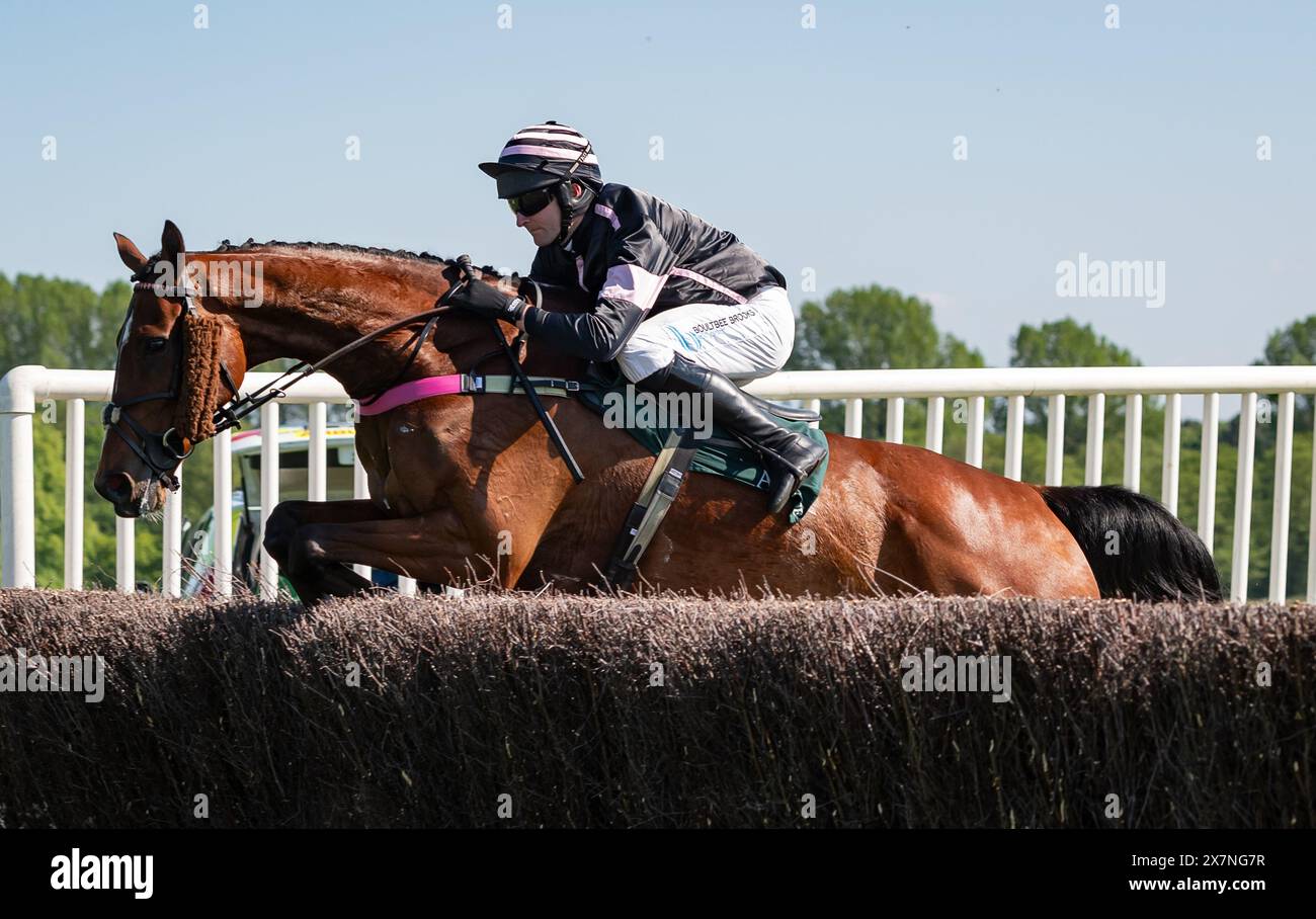 Buzzard Trix e Tommie o'Brien hanno vinto il Lord Daresbury Classic del 2024, per l'allenatrice Heidi Brookshaw e la proprietaria Mrs D. Walton. Accreditare le immagini equine JTW. Foto Stock