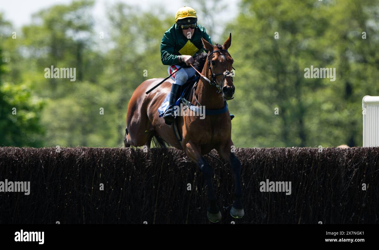 Immagini dalle 2024 Knutsford Races, Tabley Hall, Cheshire, domenica 19 maggio 2024. Crediti JTW equine Images / Alamy. Foto Stock