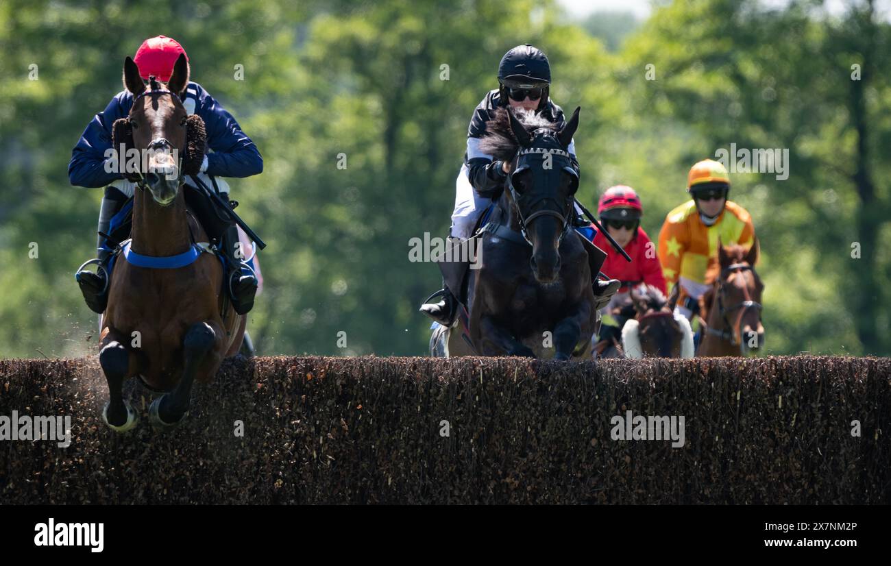 Immagini dalle 2024 Knutsford Races, Tabley Hall, Cheshire, domenica 19 maggio 2024. Crediti JTW equine Images / Alamy. Foto Stock