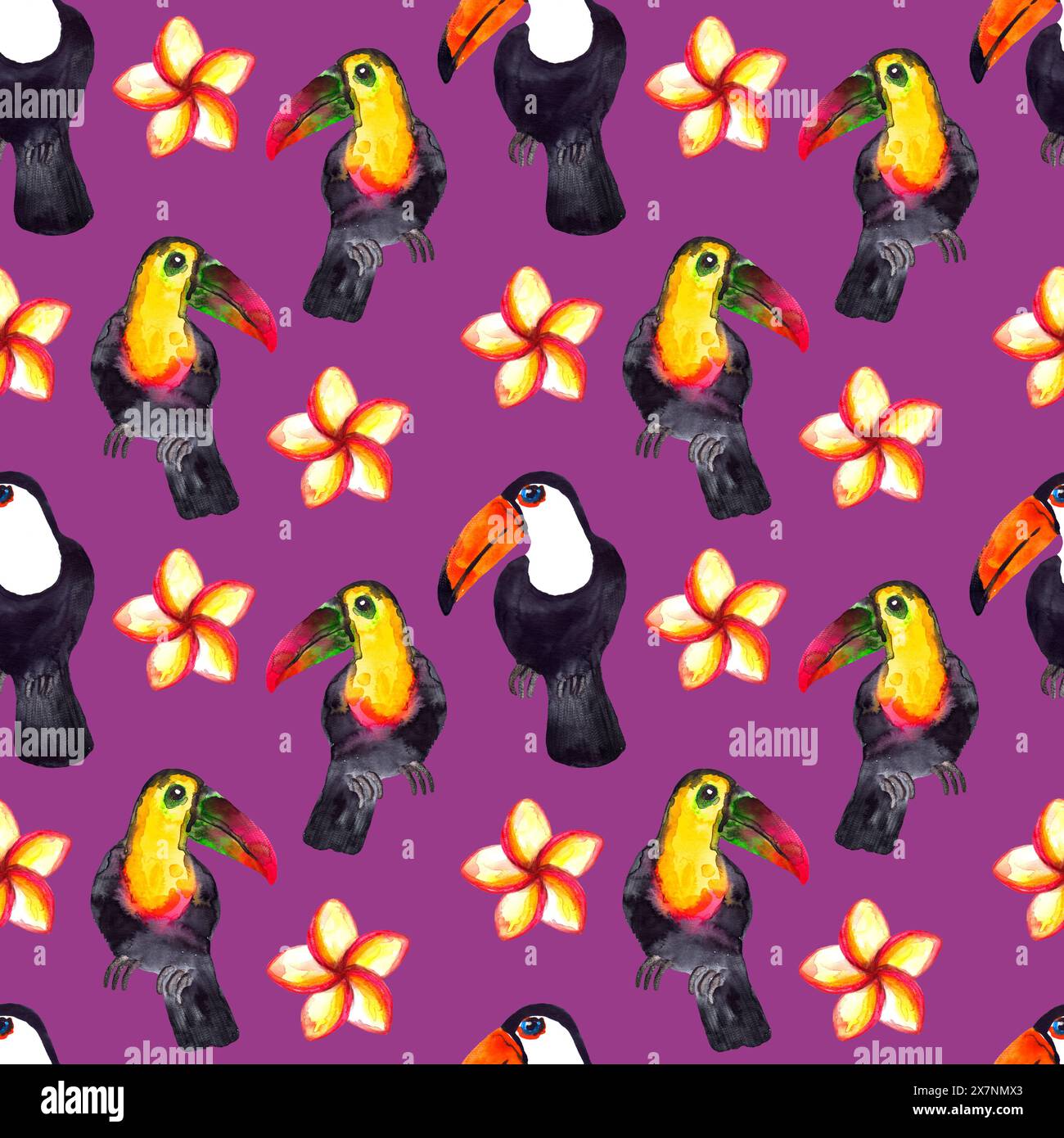 Motivo senza cuciture di acquerello iperrealistico della natura dei tropici dell'Asia - toucan in bianco e nero e fiori di plumeria su sfondo dahlia Foto Stock