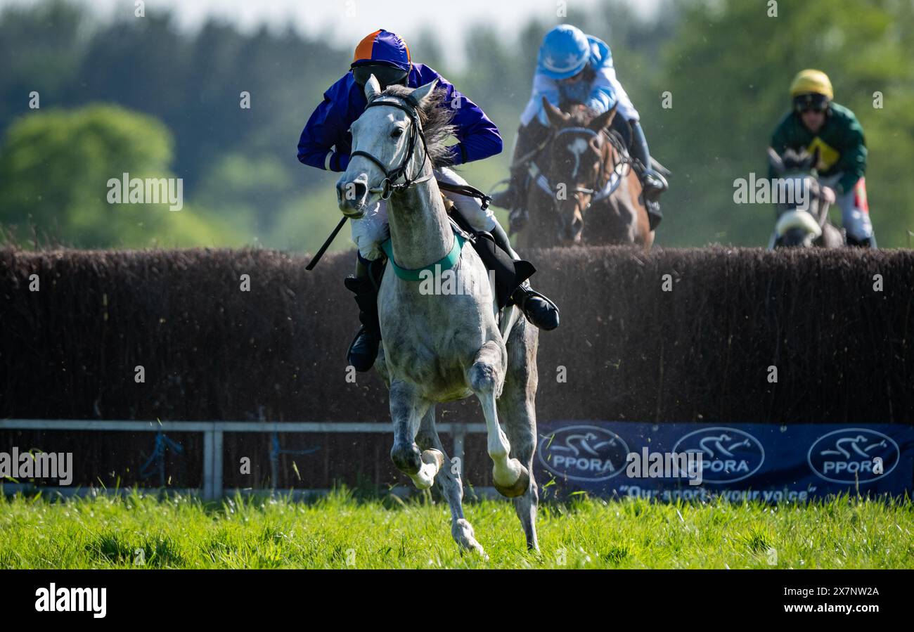Immagini dalle 2024 Knutsford Races, Tabley Hall, Cheshire, domenica 19 maggio 2024. Crediti JTW equine Images / Alamy. Foto Stock