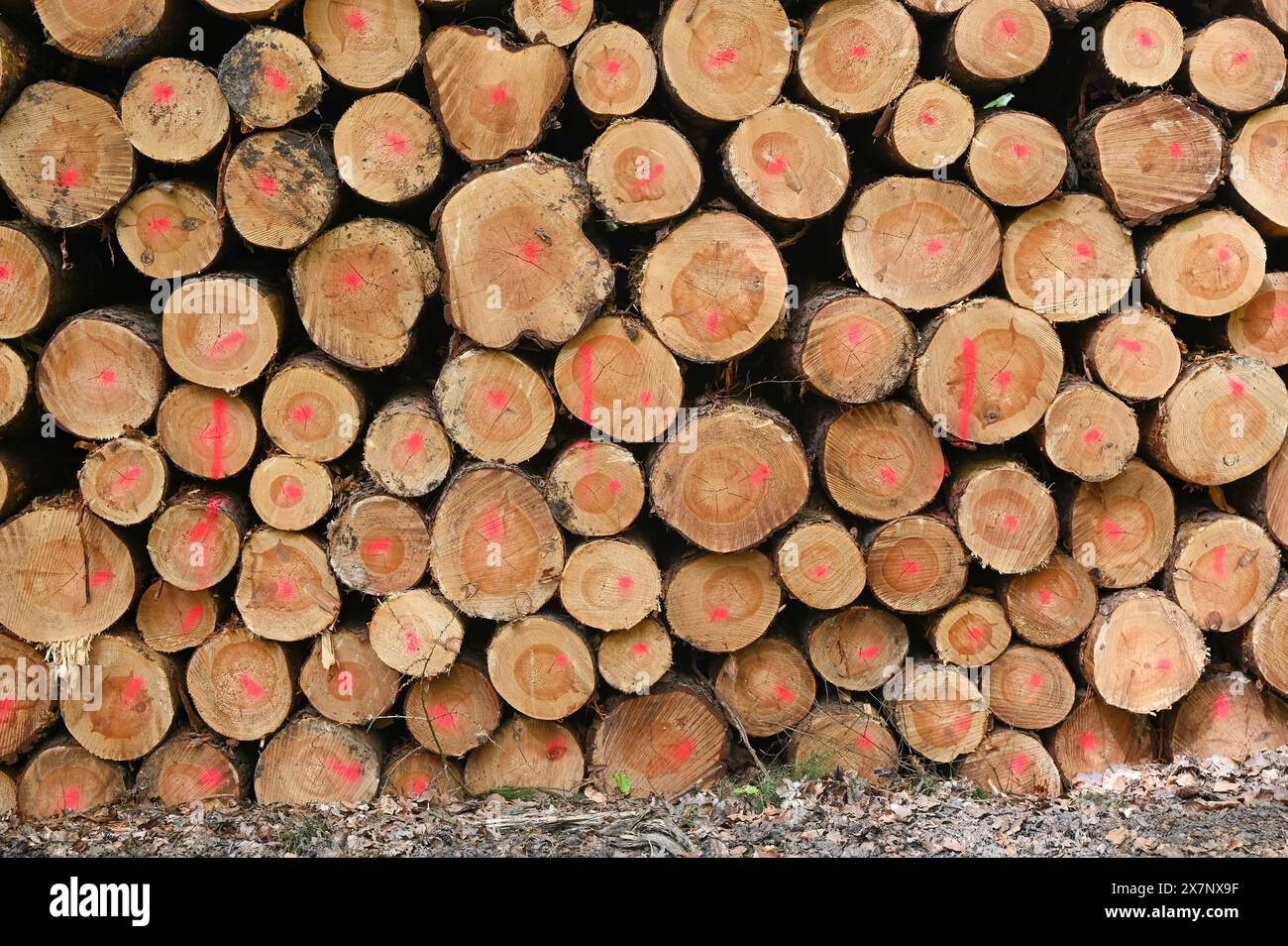 Pila di legno per fornelli antincendio dalla parte anteriore Foto Stock