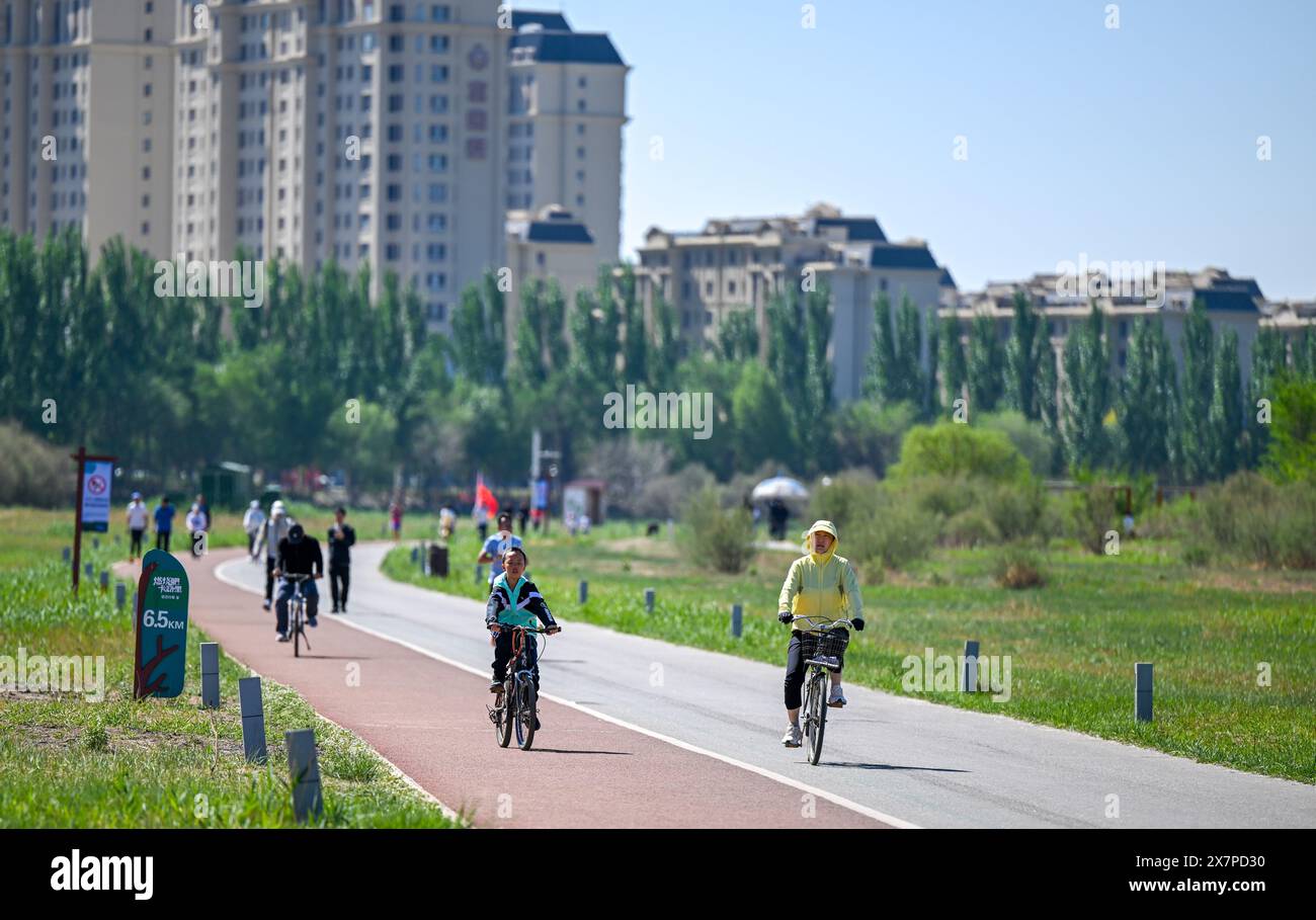 (240521) -- BAOTOU, 21 maggio 2024 (Xinhua) -- i cittadini viaggiano in bicicletta nella città di Baotou, regione autonoma della Mongolia interna della Cina settentrionale, 12 maggio 2024. Situata nella regione autonoma della Mongolia interna della Cina settentrionale e lungo il fiume giallo, la città di Baotou ha una lunga storia e ricche risorse culturali. All'incrocio tra civiltà nomade e civiltà contadina, qui potrai assaggiare un mix di cultura. Baogang Group, uno dei primi produttori cinesi di ferro e acciaio, ha reso la città conosciuta come una "città dell'acciaio su praterie". Essendo una vecchia città industriale, Baotou sta ora sviluppando vigorosamente un nuovo settore industriale Foto Stock