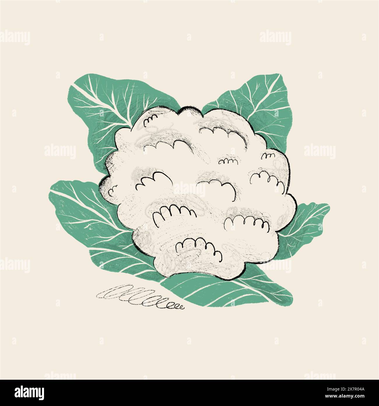 Si tratta di un'affascinante illustrazione disegnata a mano di un cavolfiore testurizzato circondato dalle sue foglie verdi, adagiato su uno sfondo neutro. Foto Stock