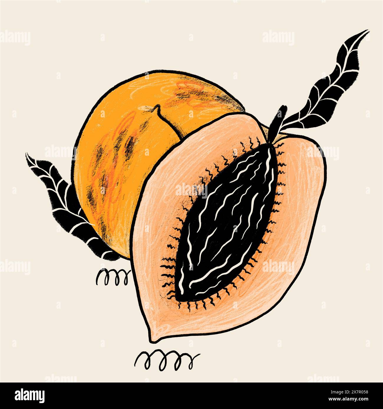 Questa è un'illustrazione artistica di una papaya matura, tagliata aperta per rivelare i suoi semi neri, collocata su uno sfondo neutro. Foto Stock
