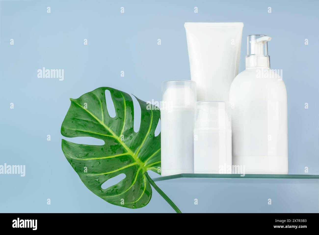 Varietà di provette e bottiglie bianche per cosmetici presentate con una foglia tropicale, ideali per il mockup di marca. Foto Stock